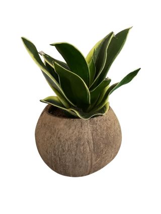 ✨ Doplnky, ktoré robia záhradu výnimočnou Od štýlových kvetináčov až po originálne dekorácie – u nás nájdeš všetko, čo...