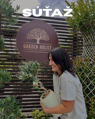 🌿 Súťaž o malý olivovník! 🌿 Chceš si domov priniesť kúsok Stredomoria? Zapoj sa do našej súťaže! ✨ Podmienky sú...